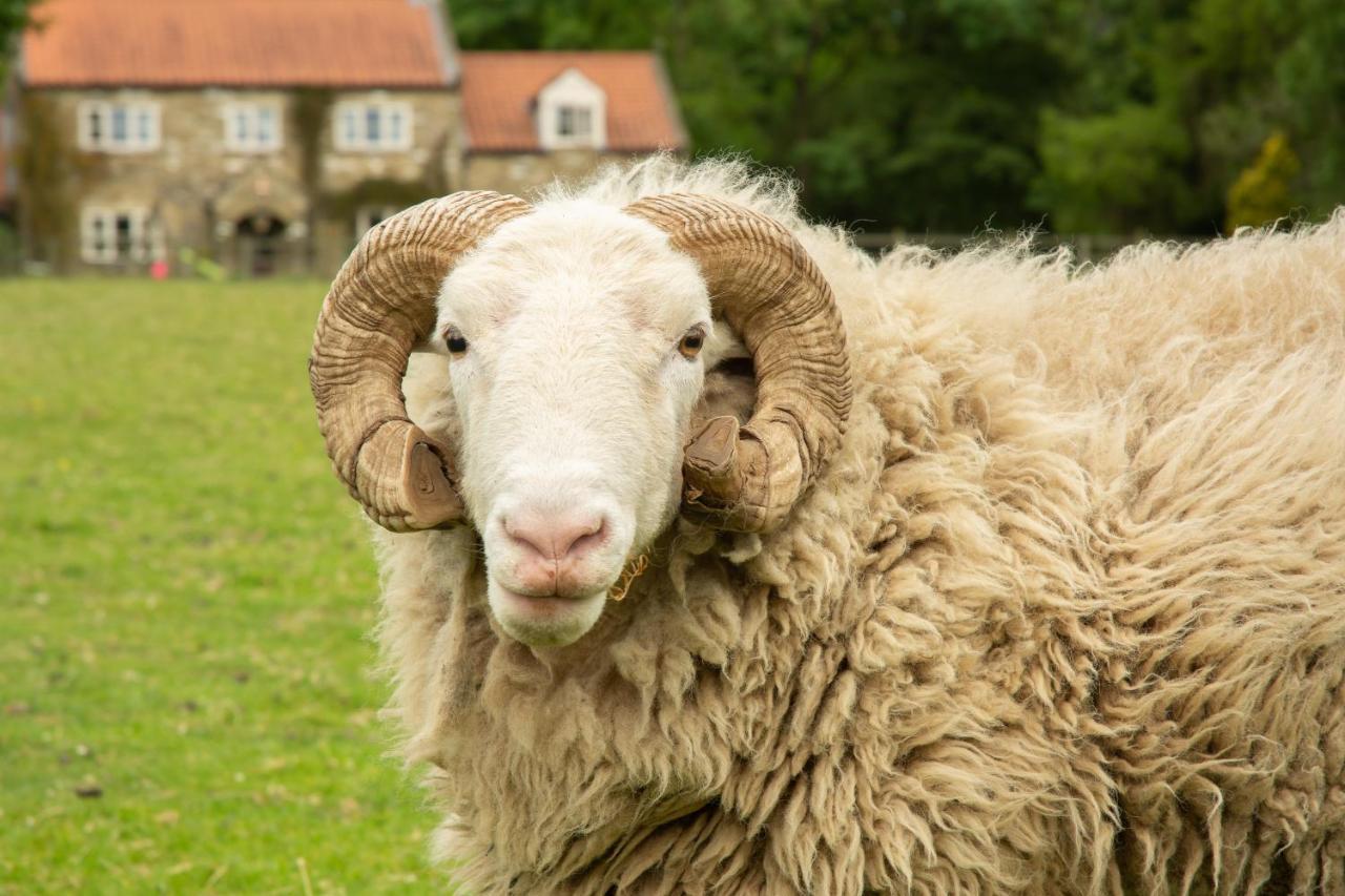 Rawcliffe House Farm Villa Pickering Eksteriør bilde