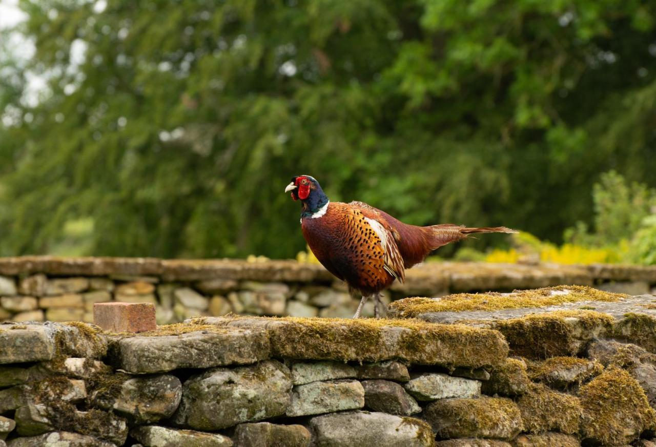 Rawcliffe House Farm Villa Pickering Eksteriør bilde