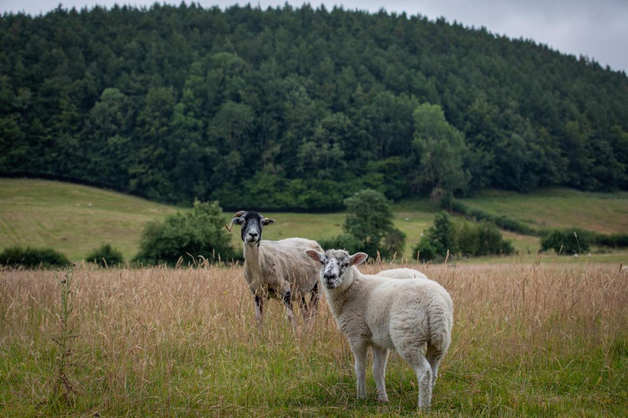 Rawcliffe House Farm Villa Pickering Eksteriør bilde
