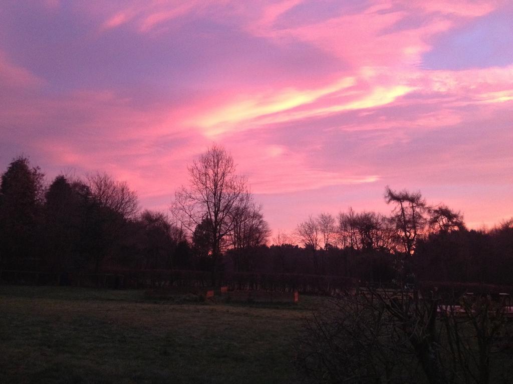 Rawcliffe House Farm Villa Pickering Eksteriør bilde