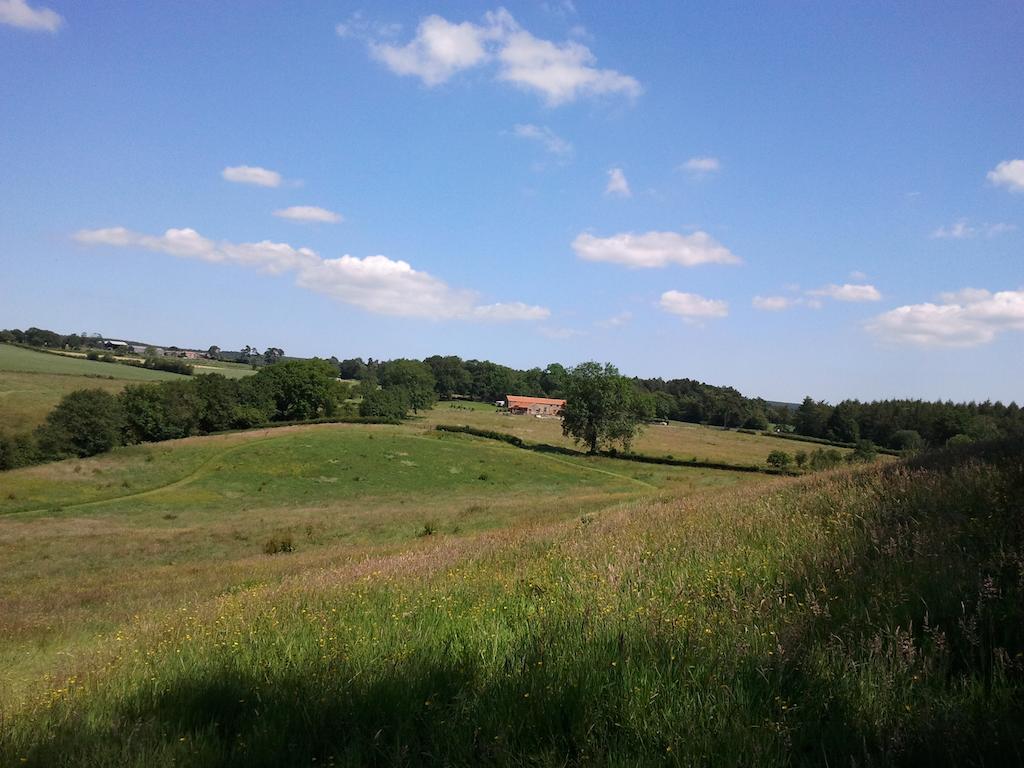 Rawcliffe House Farm Villa Pickering Eksteriør bilde