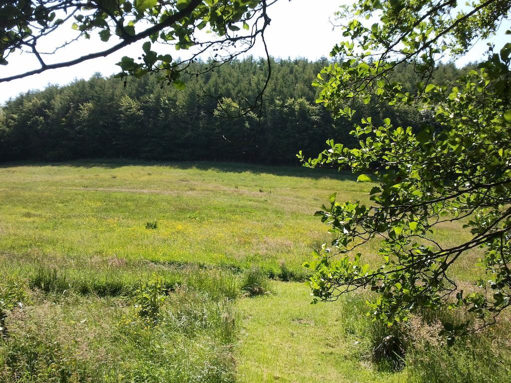 Rawcliffe House Farm Villa Pickering Eksteriør bilde